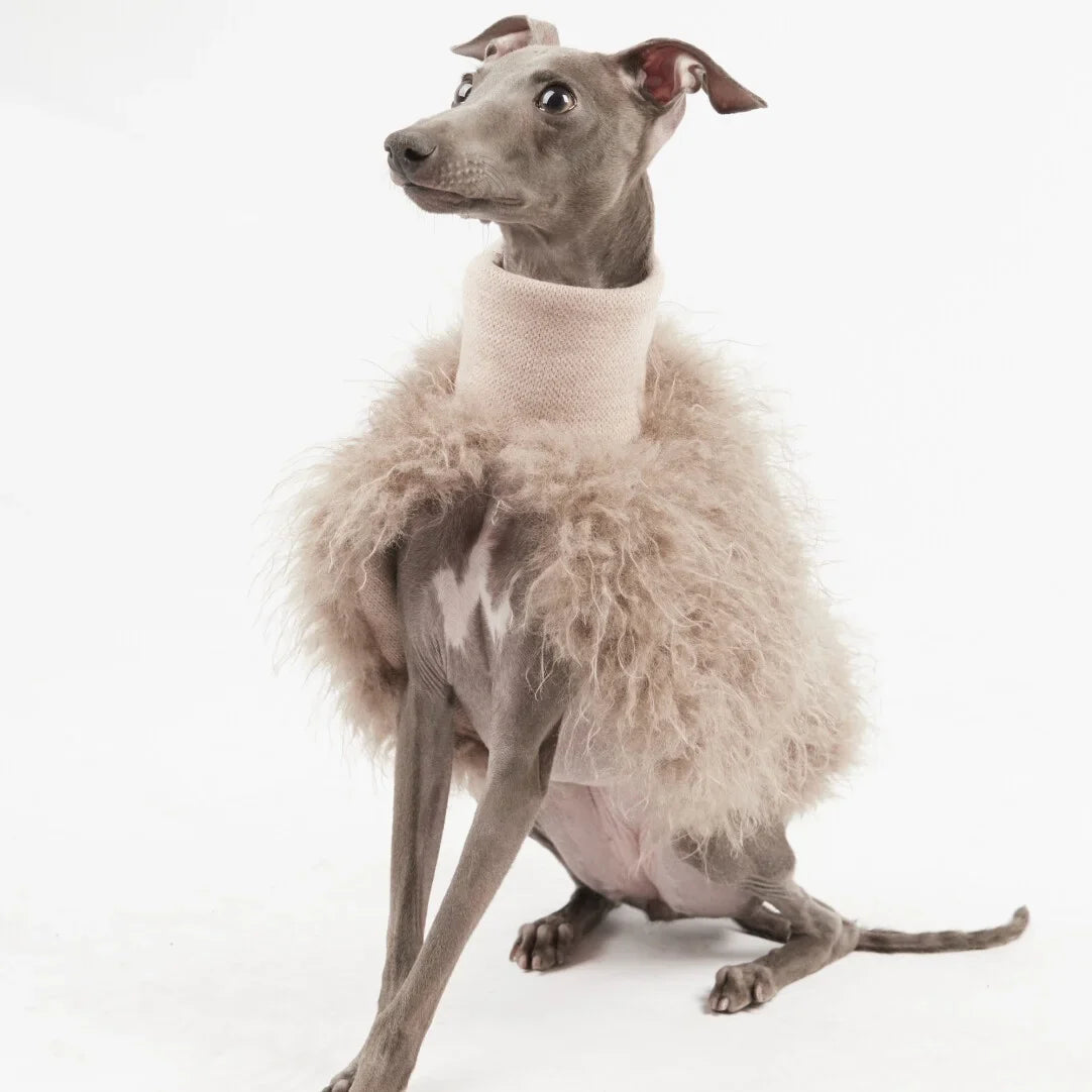 Veste Fausse Fourrure Pour Lévrier Whippet - Les Bonnes Affaires