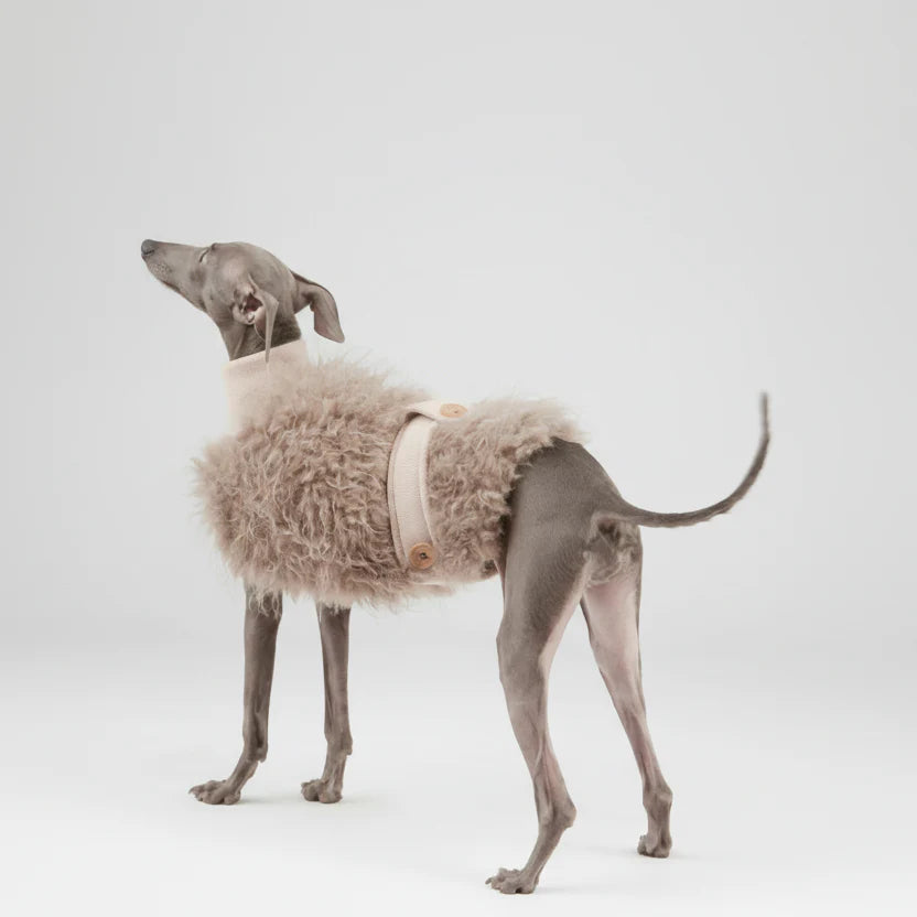Veste Fausse Fourrure Pour Lévrier Whippet - Les Bonnes Affaires