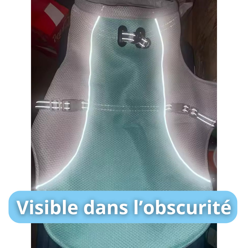 Veste Rafraîchissante pour Chien
