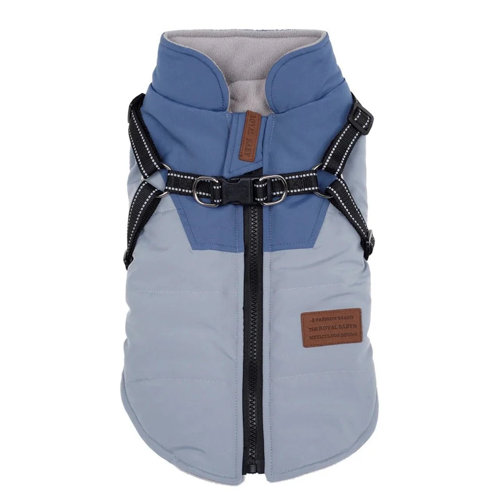 Veste hiver chien gris et bleu avec harnais intégré de la marque Oscar et Plume