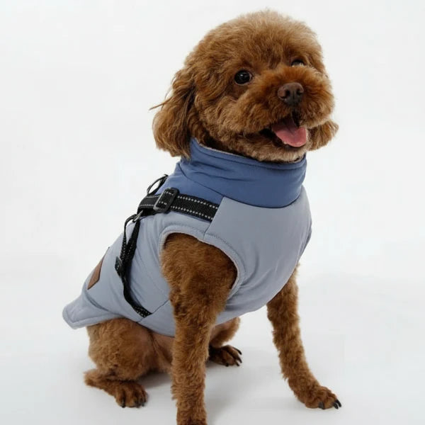 Veste Hiver Douillette Et Résistante Pour Chien