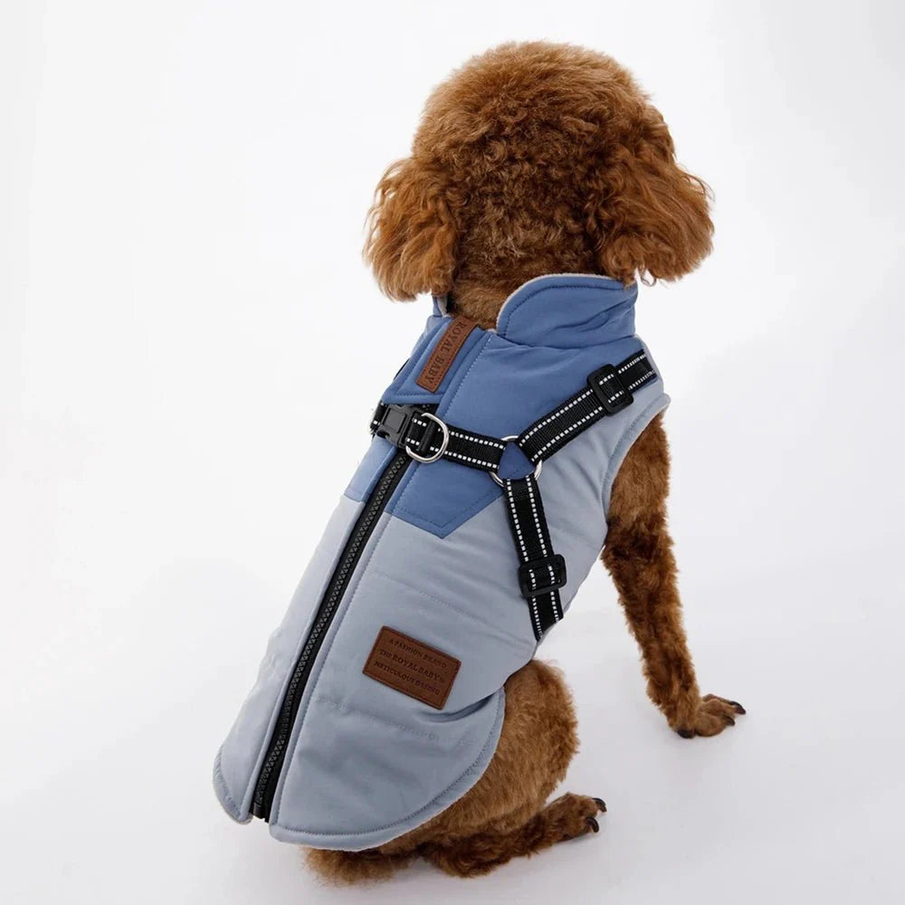 Veste Hiver Douillette Et Résistante Pour Chien