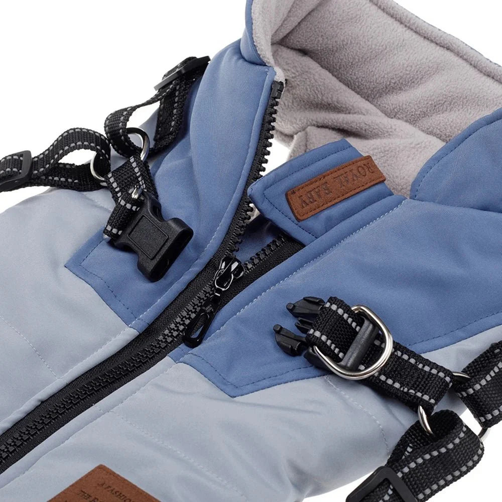 Veste Hiver Douillette Et Résistante Pour Chien