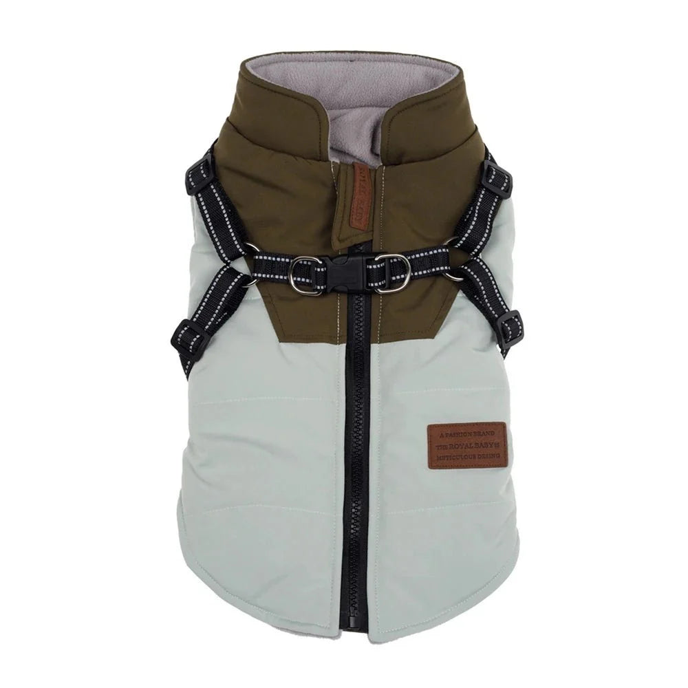 Veste hiver chien Oscar et Plume avec harnais intégré couleur kaki et gris pour protection et confort