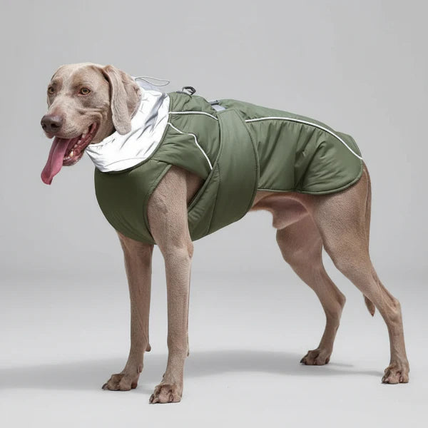 Veste imperméable pour petit, moyen et grand chien