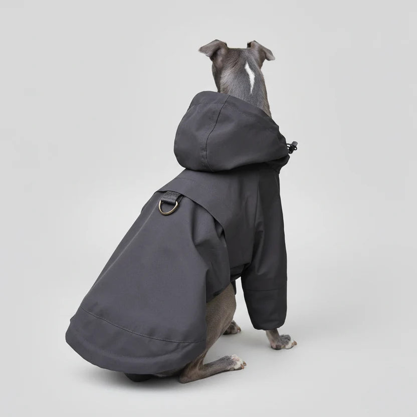 Veste Imperméable A Capuche Pour Lévrier Et Whippet