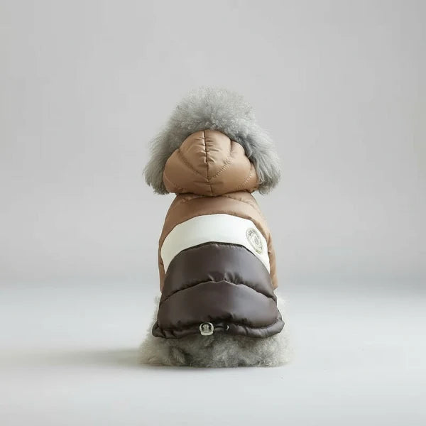 Veste Imperméable Avec Capuche Pour Chien