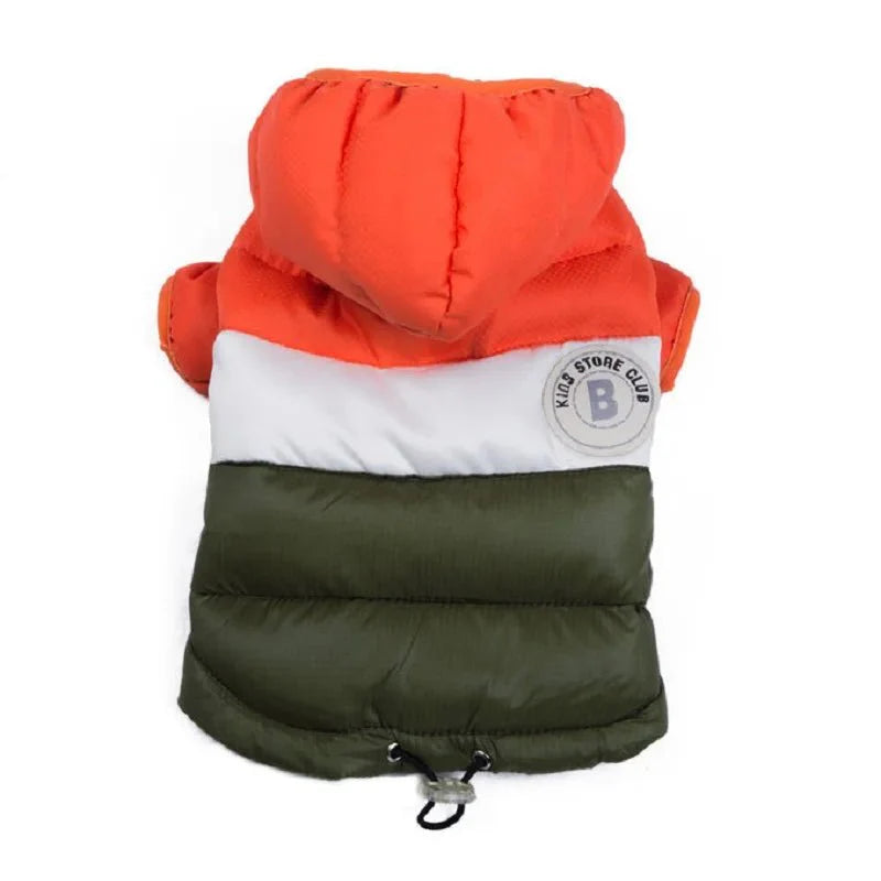 Veste imperméable pour chien tricolore avec capuche orange, blanche et verte de Oscar et Plume