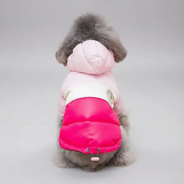 Veste Imperméable Avec Capuche Pour Chien