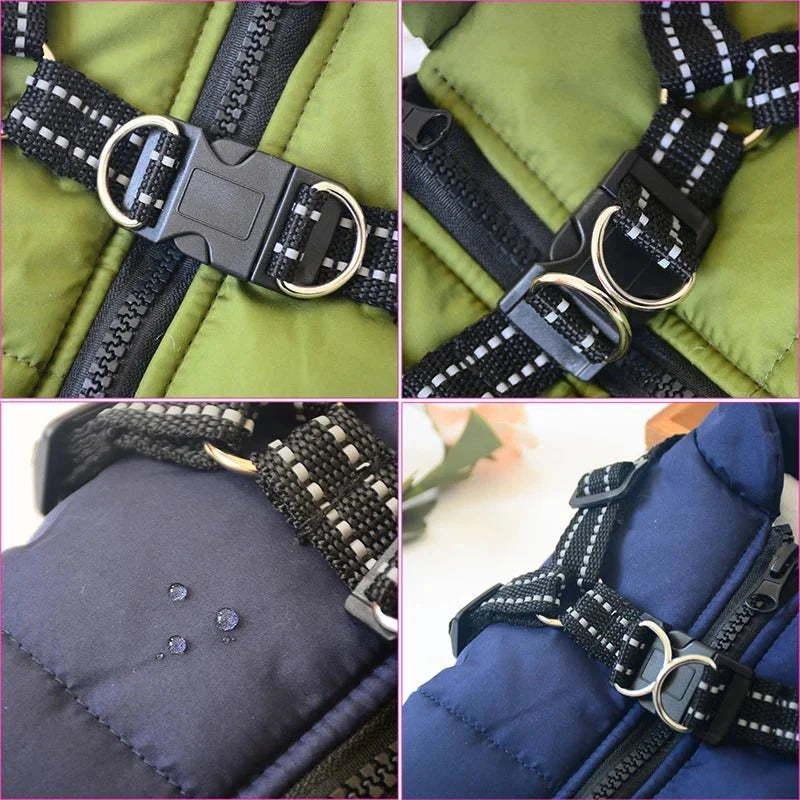 Veste Imperméable Pour Chien Confort Et Style