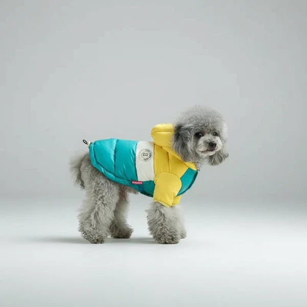 Veste Imperméable Avec Capuche Pour Chien