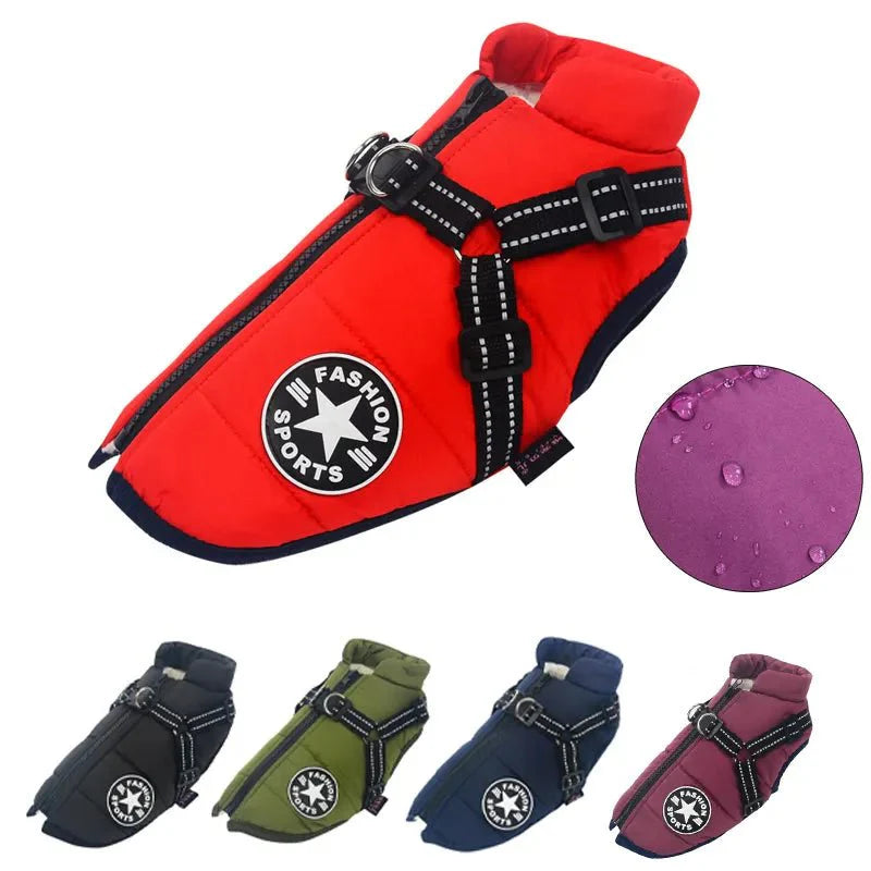 Veste Imperméable Pour Chien Confort Et Style