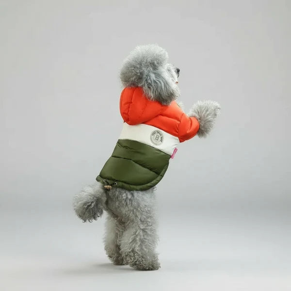 Veste Imperméable Avec Capuche Pour Chien