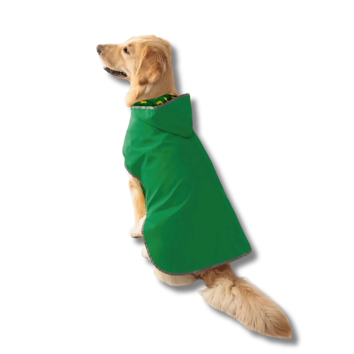 Veste imperméable pour chien en vert avec capuche, idéale pour les jours de pluie