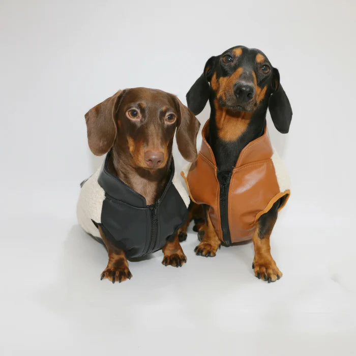 Veste Pour Chien Teckel En Polaire Epaisse