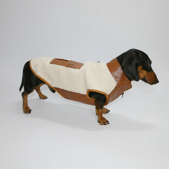 Veste Pour Chien Teckel En Polaire Epaisse