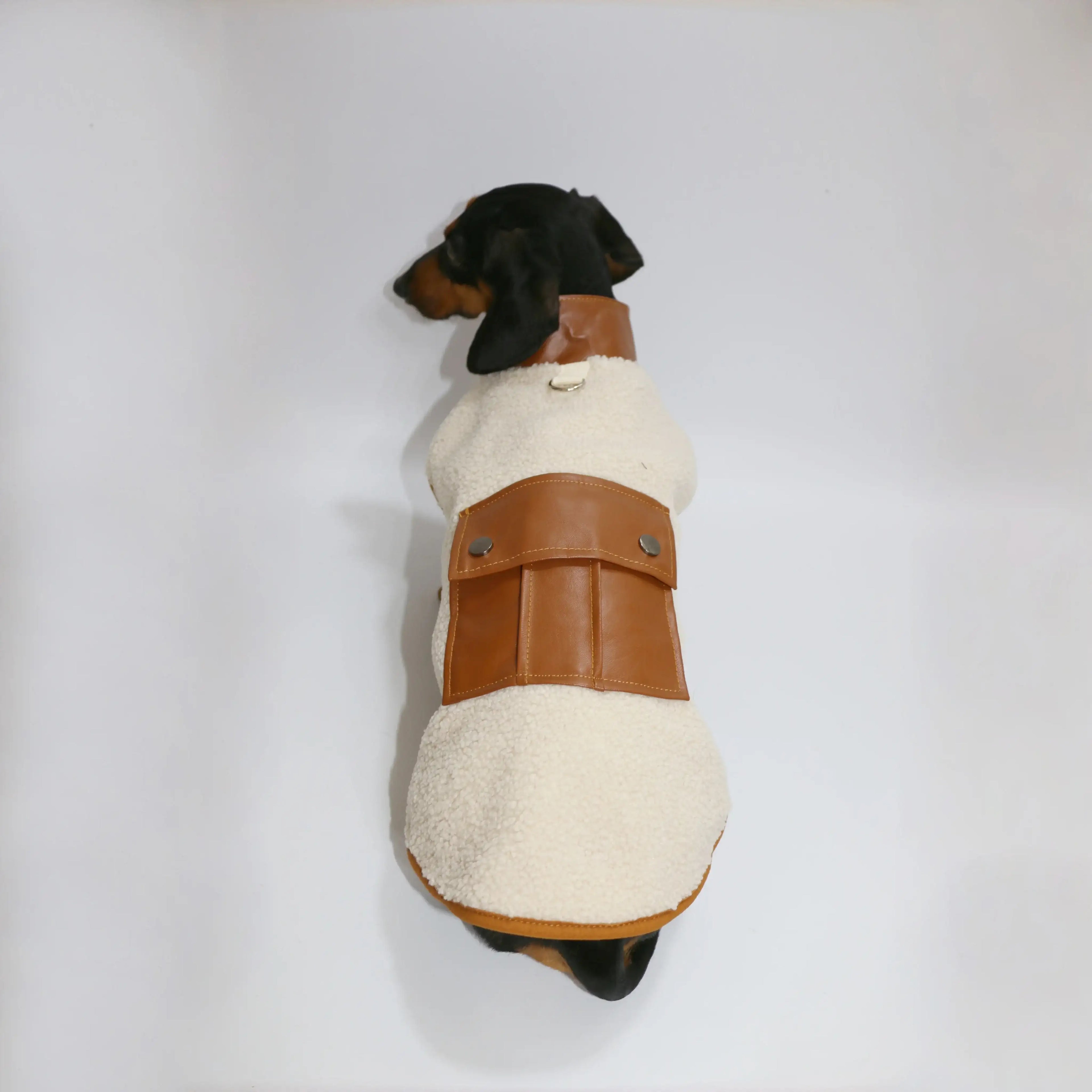 Veste polaire pour teckel en velours beige avec détail en cuir marron