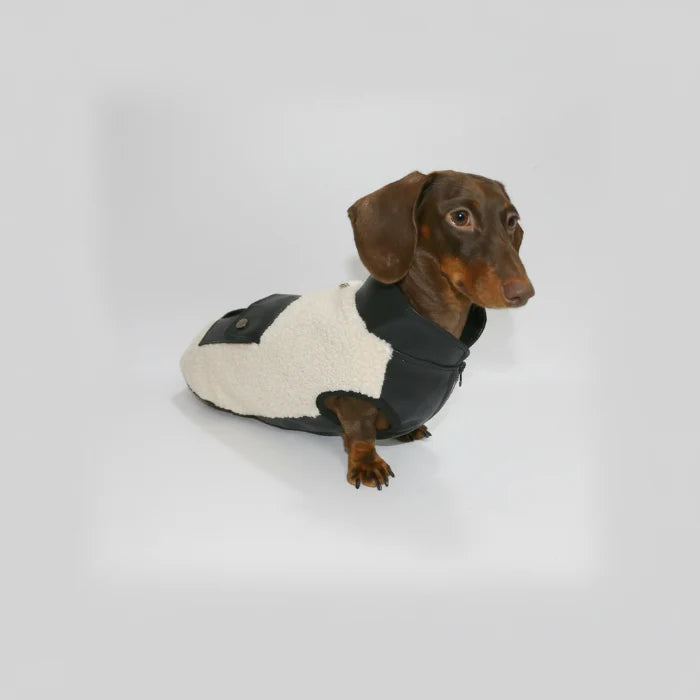 Veste Pour Chien Teckel En Polaire Epaisse