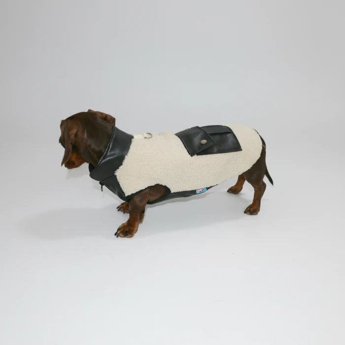 Veste Pour Chien Teckel En Polaire Epaisse