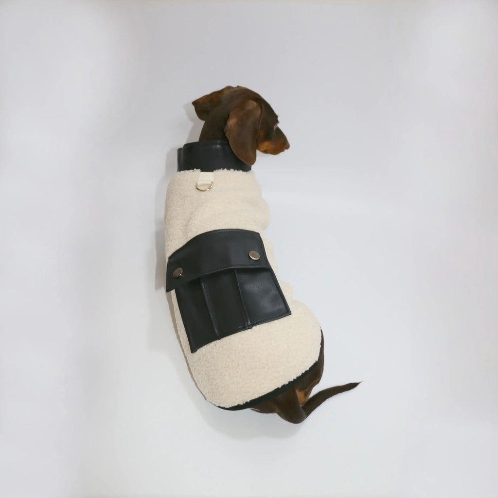 Veste polaire pour teckel de Oscar et Plume avec poches et design élégant en noir et beige