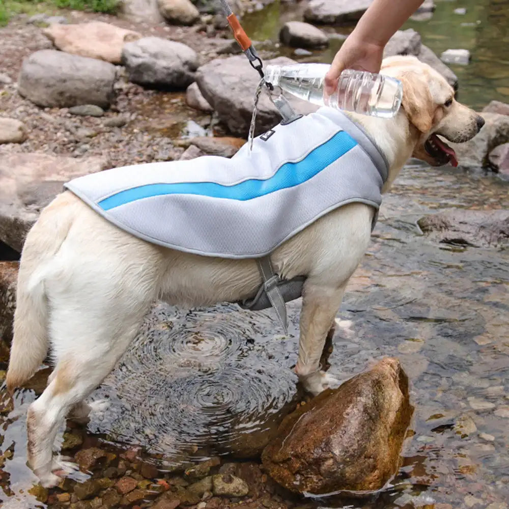 Veste Rafraîchissante Et Protection UV Pour Grand Chien