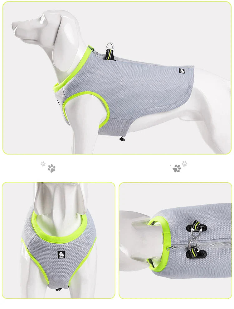 Veste Rafraîchissante Légère Pour Chien