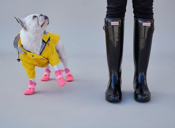 Imperméable pour chien