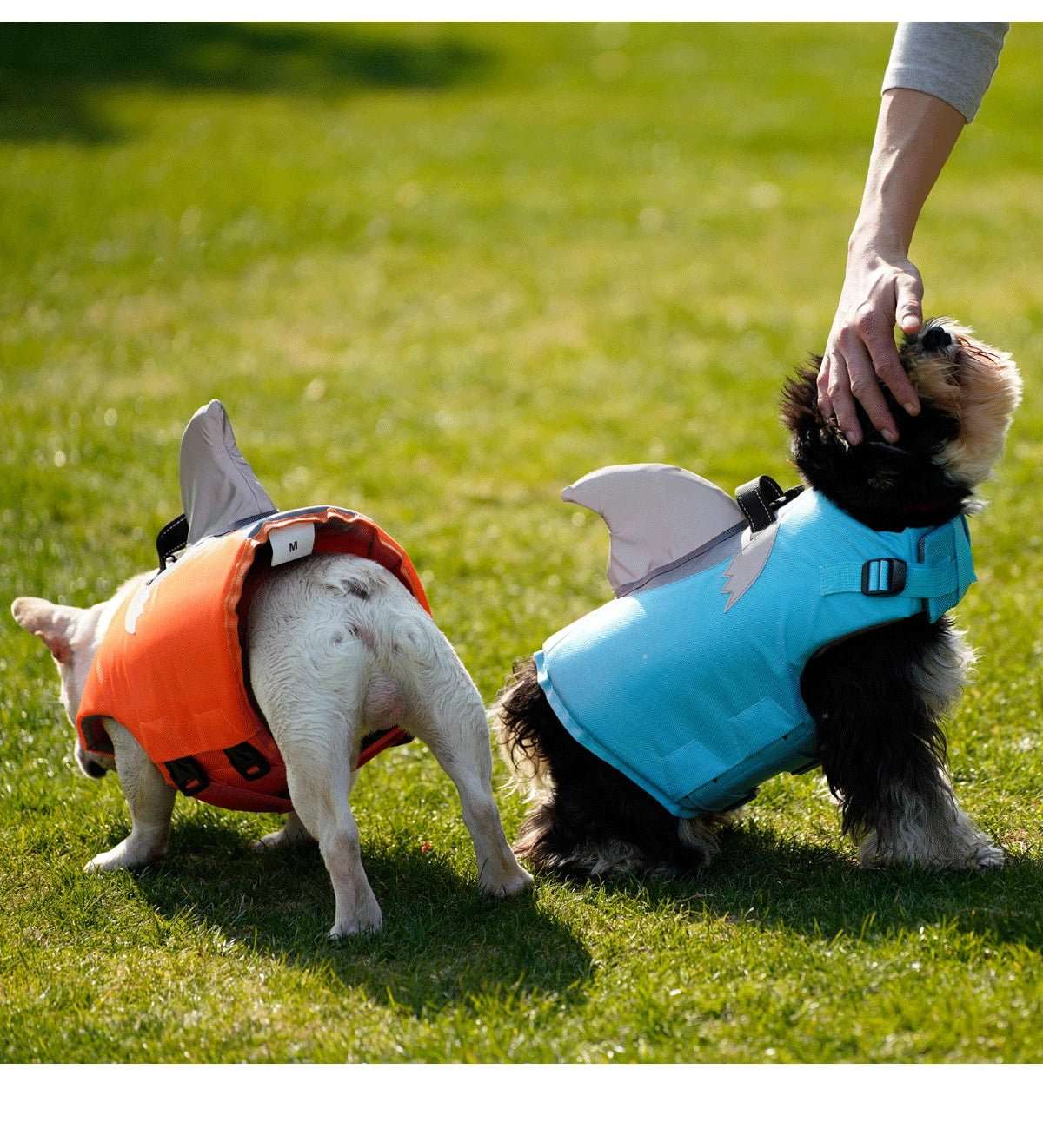 Vêtement Sécurité Chien Design Flottable
