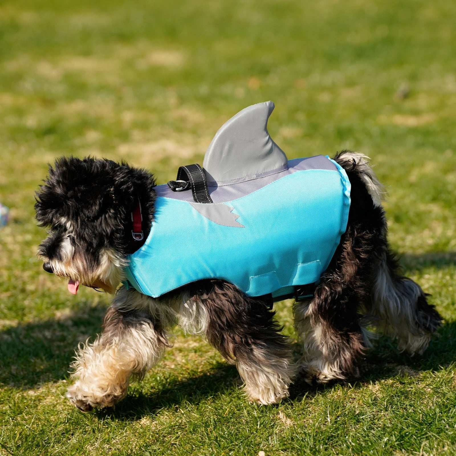 Vêtement Sécurité Chien Design Flottable