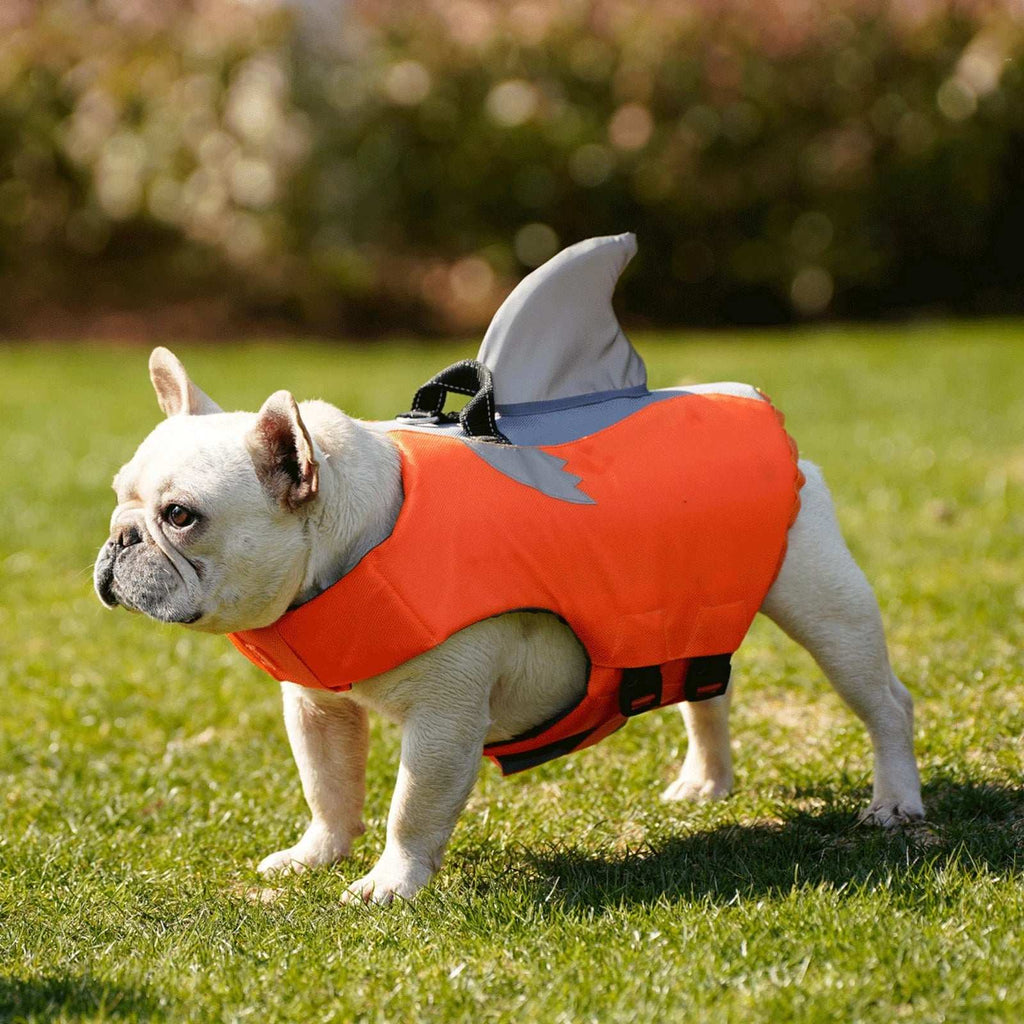 Vêtement Sécurité Chien Design Flottable