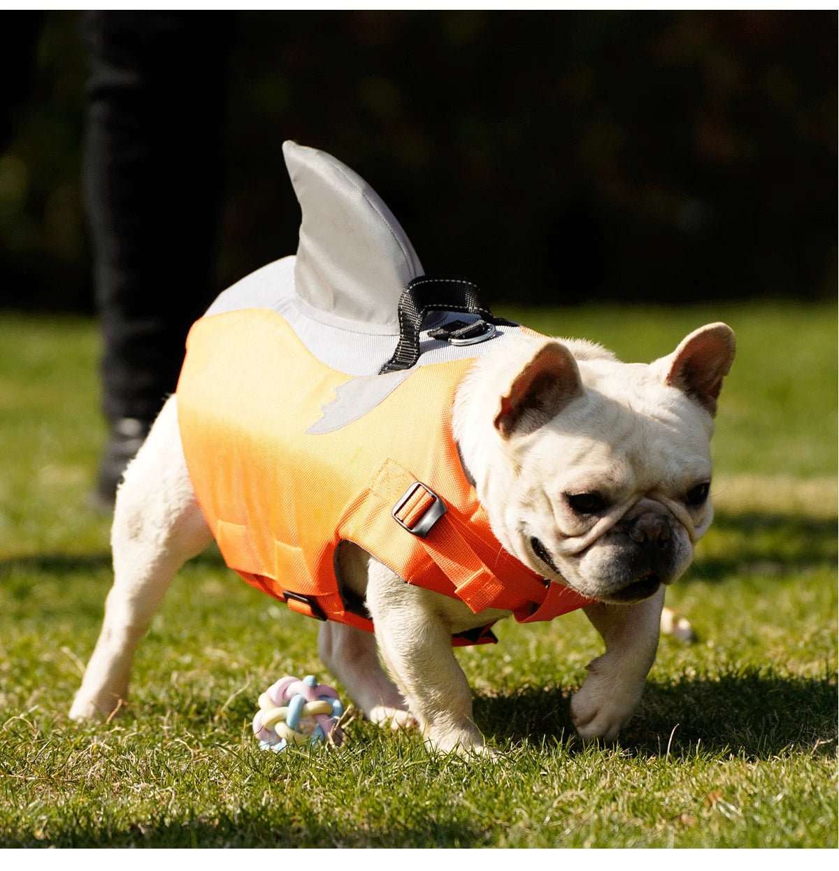 Vêtement Sécurité Chien Design Flottable