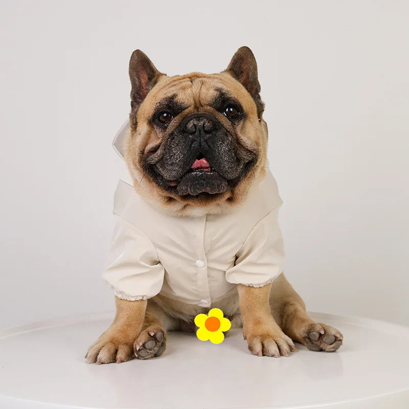 Imperméable Pour Bouledogue Français - Les Bonnes Affaires