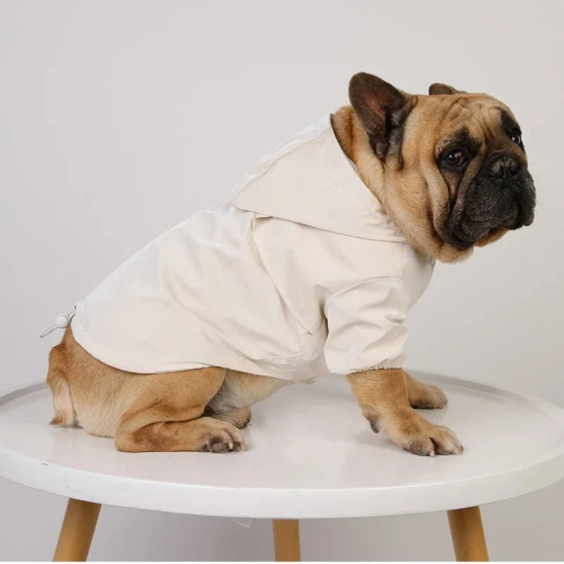 Imperméable Pour Bouledogue Français - Les Bonnes Affaires