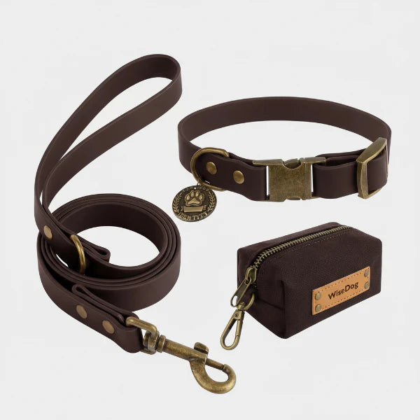 Collier et laisse pour chien en cuir marron avec médaille et sacoche de friandises Oscar et Plume