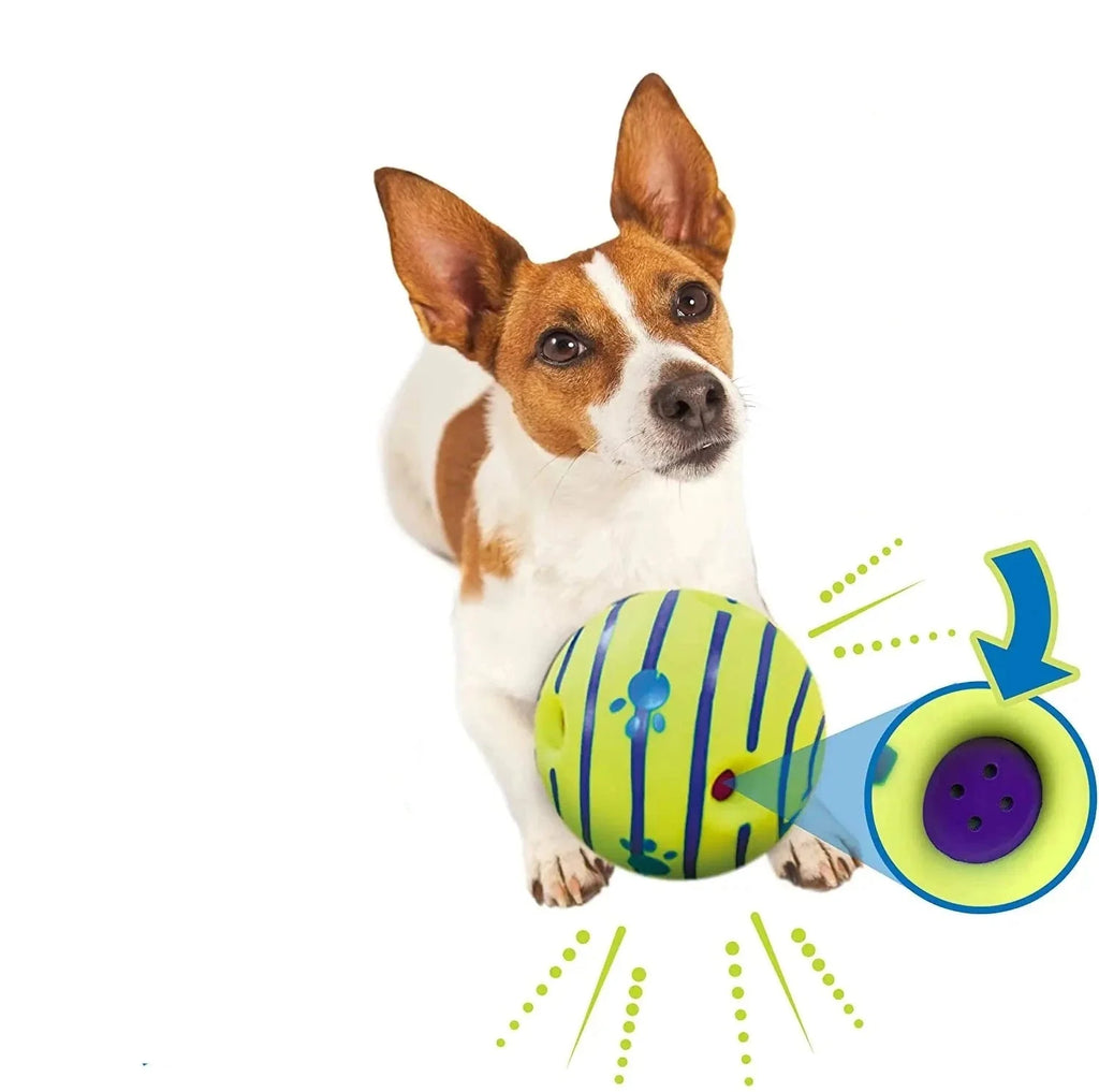 Balle Sonore Sans Recharge Pour Chien