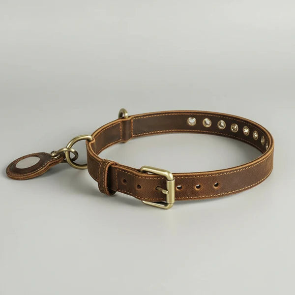 Collier En Cuir Avec Emplacement Airtag Pour Chien